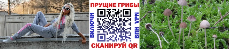 площадка Telegram  купить закладку  Трубчевск  Галлюциногенные грибы мухоморы 